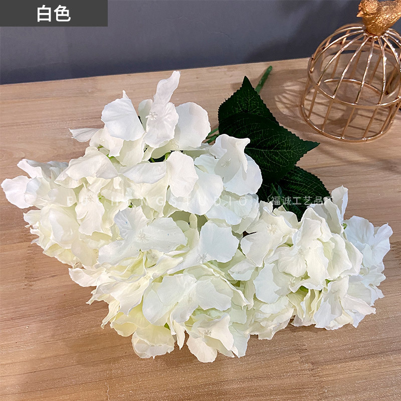 White (5 beams per color, less shots, no hair)