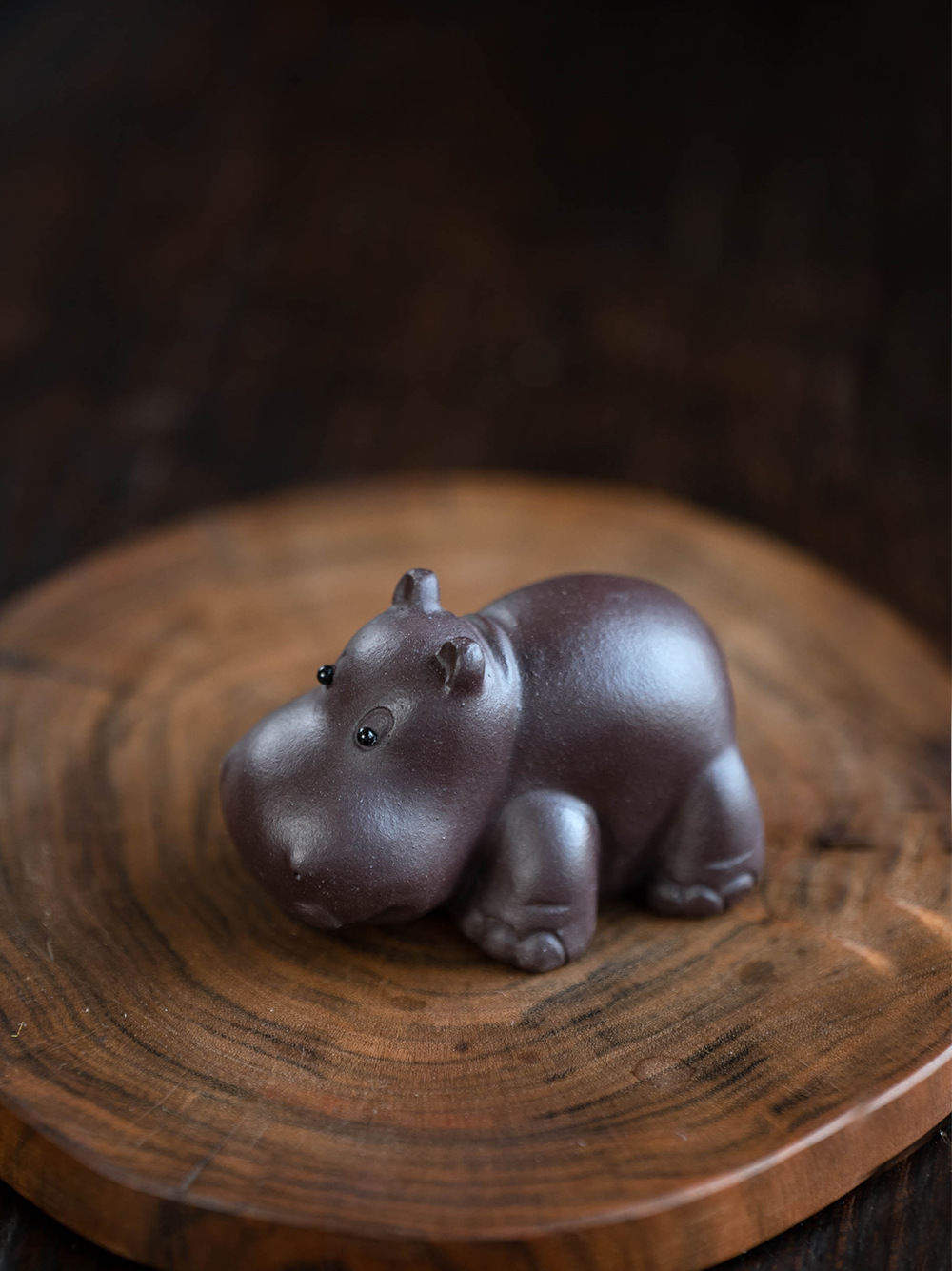 小河马20240528 (9).jpg