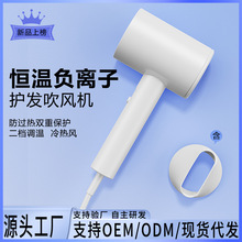 跨境家用電吹風機發廊專用大功率負離子風筒酒店用靜音電風吹風罩