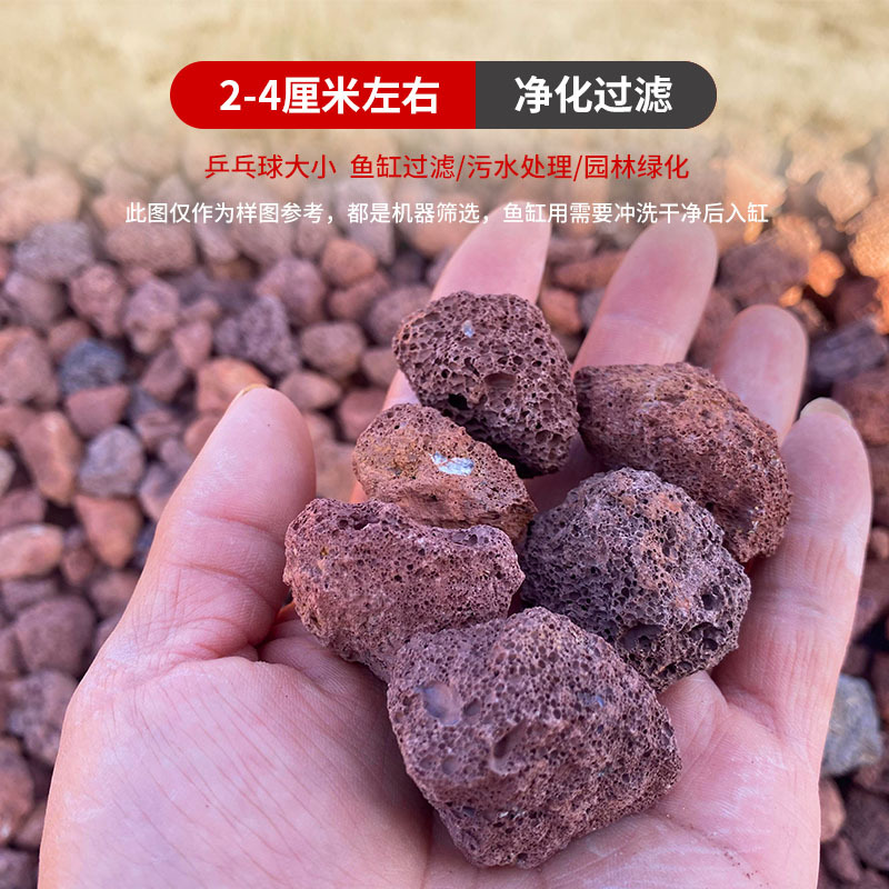 5파운드 2~4cm 정도 빨간색 [인공 정제]