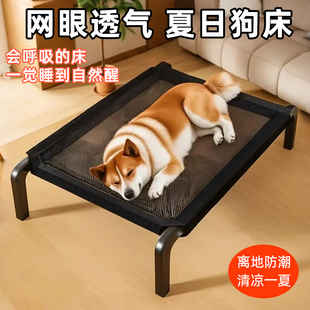 Dog Off-The-Ground Bed Mesh Summer Camp Bed for Small Dogs, Large Dog Iron Frame Puppy Bed, Pet Bed