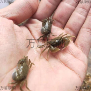 ��������з����С�з�^�pз���l����з����з��ˮз����з��*