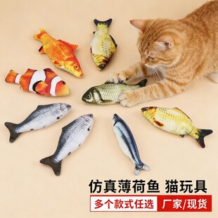 ����؈�����~��� ��ҧë�q����؈����������~ ������Ʒ؈�����