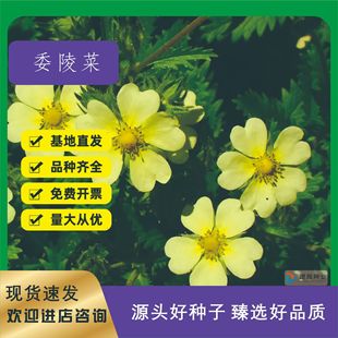 ί��˷N�Ӱ��^�̷N�Ӹ���ͥԺ���������^�ر�ֲ���ͺ���ꎻ��N