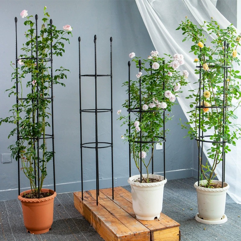 Круглая опора для вьющихся растений, подставка для цветов для роз, опора для вьющихся растений, цинковая сталь, для улицы