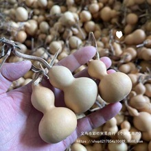 С���J��Ȼ���J������������[������S�ҵؔ�С����Ҿӿ���