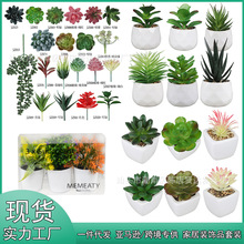 ����ѷ�Ҿ�װ��Ʒ����������װ �������������԰ڼ�DIY������ֲ