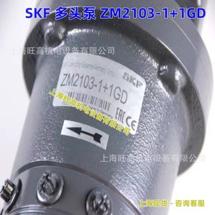 SKF Двигатель бык Насос ZM2103+1+140 ZM2202+100 ZM2202+1GD ZM505+1GD