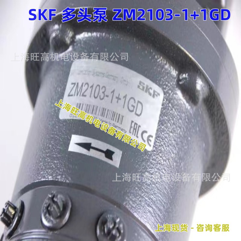 SKF电机齿轮多头泵ZM2103+1GD/100 /+140 ZM502-S2+140 ZM2202-S7