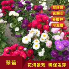 ɢbշN׳ɻذջлջɫļD¾վ^