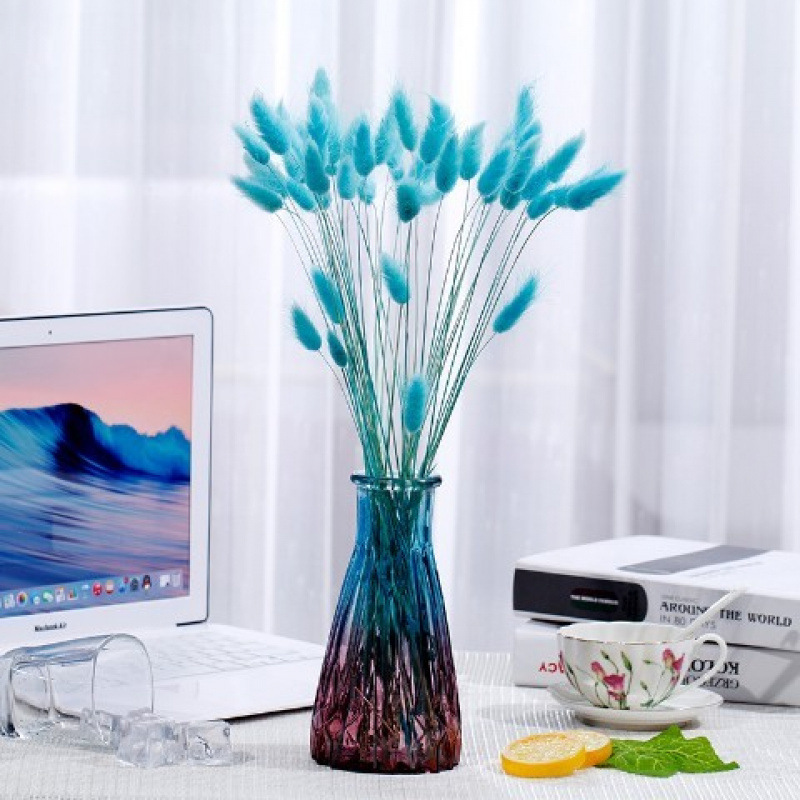 황금색 파란색 토끼 꼬리 - 꽃병 없음