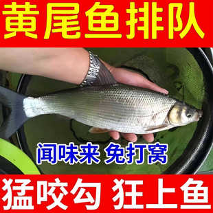 ���Sβ�����D����Sβ�~�D�ϸC���T�~��Ұ��N��חl�R���a�~���~