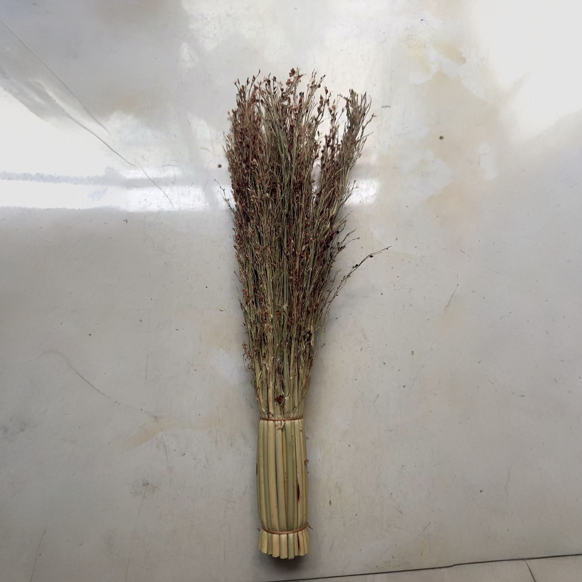 Los fabricantes de origen tienen una gran cantidad de plántulas de sorgo blanco del noreste, cepillos de arroz, cepillos de limpieza doméstica, ollas de sorgo diarias