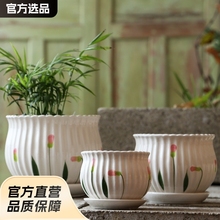 մɴ̖}бPÄ₀ԼþG}m⻨