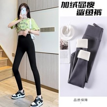 【鑫选】羊羔绒净版鲨鱼裤女外穿秋冬加绒加厚高腰打底裤子