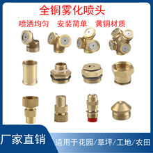 ȫ�~���F���߲˴�ș�ӝ񝲲��r���~�������^���m�����F��������ˮ