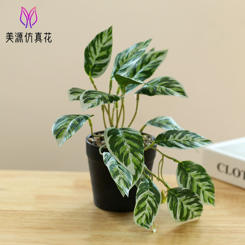 New hanging green plant bonsai manufacturer Plant bonsai Creative Room indoor small ornaments Amazon green plant