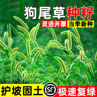 ��β�ͲݷN����Ұ�ݷN�s�ݷN�ѹ�β�ݷN�ͺ��G���^�p�����o������