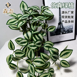 仿真植物眼眉叶手感假叶子造景垂挂背景墙办公酒店室内植物墙装饰