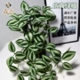 植物仿真办公叶子背景墙