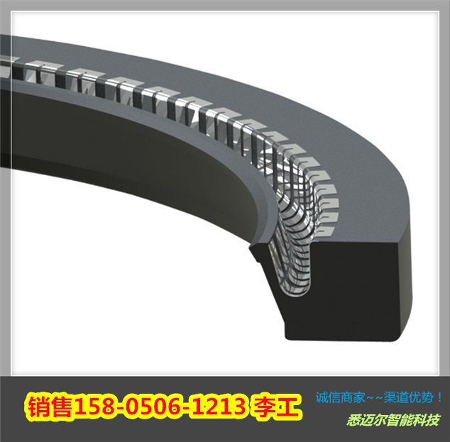 GARLOCK骨架油封21238-4036 Model 64 Bore13in