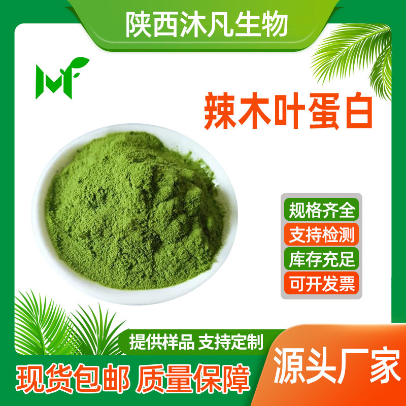 辣木叶蛋白粉90%95%辣木叶提取物 辣木叶浓缩粉 植物蛋白厂家直供