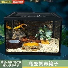 NC爬宠饲养箱豹纹守宫蜥蜴陆龟角蛙寄居蟹宠物玻璃水陆雨林生态缸