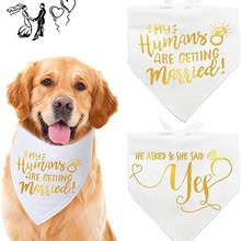 ���R�deBayLOGOpet������ˮ�����^��؈�������ǽ���ů���ﳱƷ