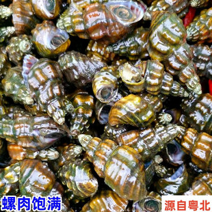 ʮ������PҰ��ɽ���ݬF��Ϫˮ����ҹ�����ݺ��rʯ�ݮ���ˮ�a�r��