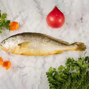 ����ᘖ|��Ұ�����S�~400g������S�~�S���~��؛