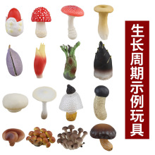 �羳����ɳ�����ˮ���߲˾�������������װ��ͯ��̿ƽ����ģ��