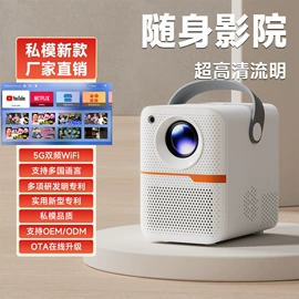 投影仪;网络播放器;电玩设备