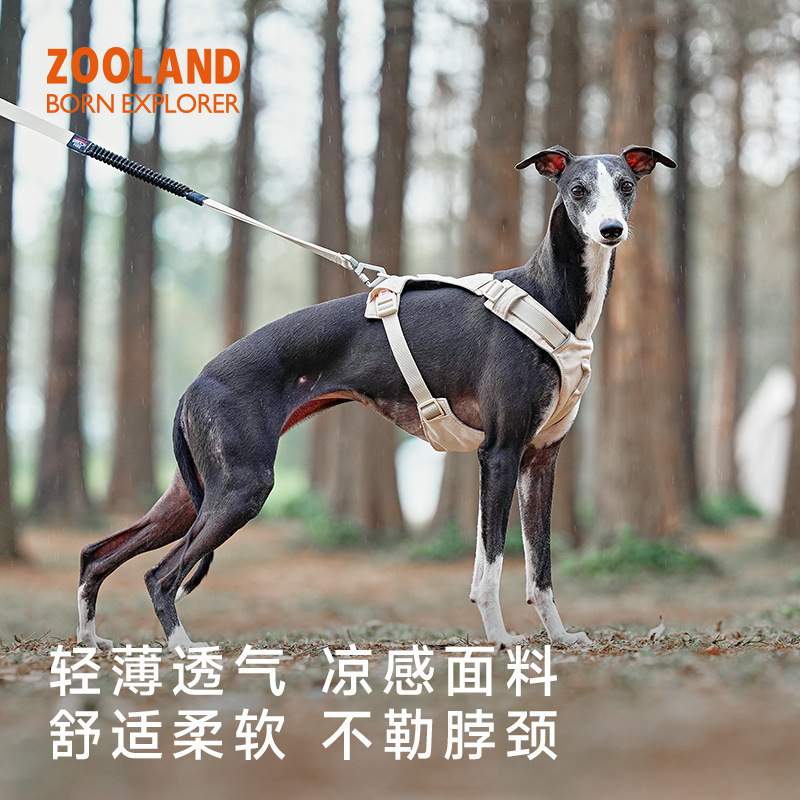 Zooland Dog Harness Leash for Walking Puppies, Small, Medium and Large Dogs Teddy Corgi Bichon Border Collie Pomeranian Chain