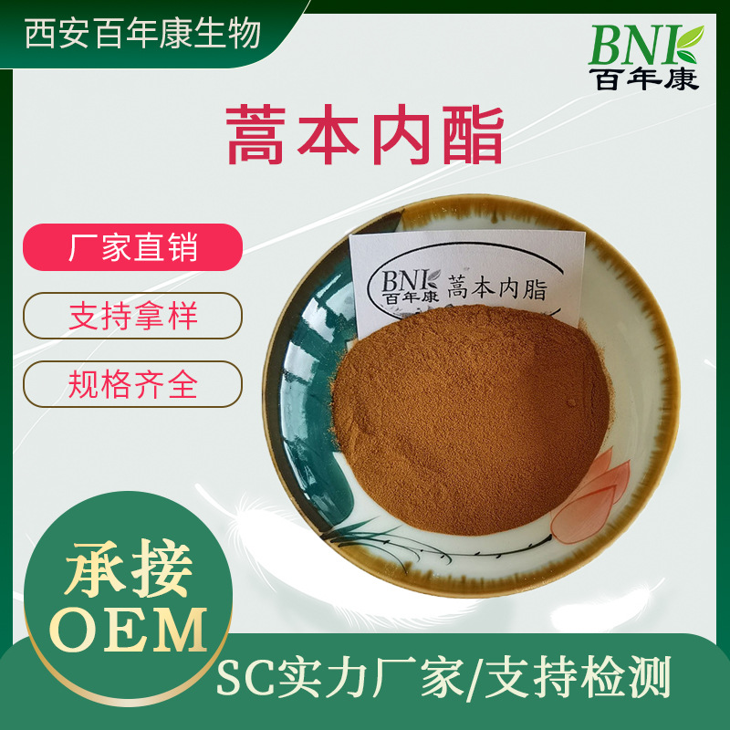 蒿本内酯1% 当归提取物 当归浓缩粉  干归提取粉 云归提取