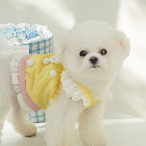 Spring and summer dog cute princess style cake big bow dress cat feet skirt pet dog clothes