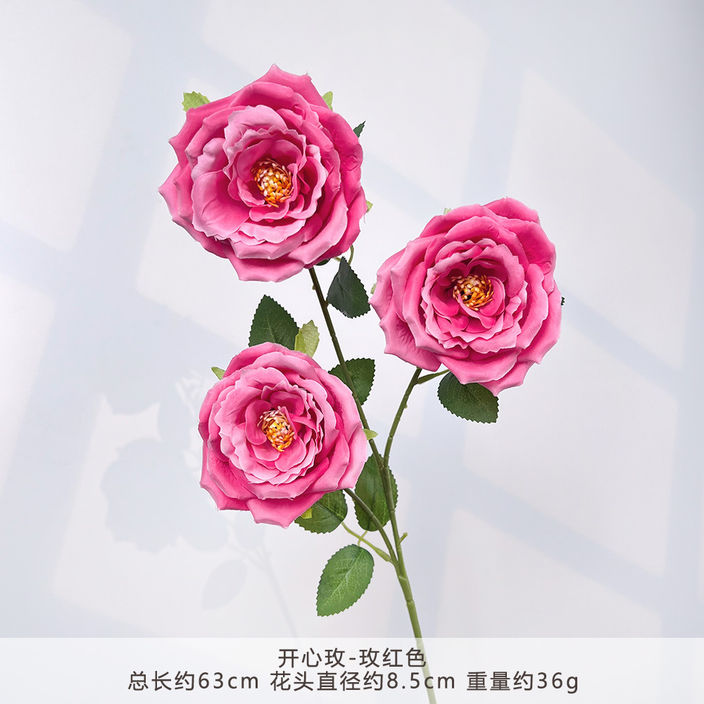 MJ-แฮปปี้โรส-โรสเรด