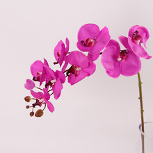 ^z9^m؃r߷滨 콁͏dֹٻ