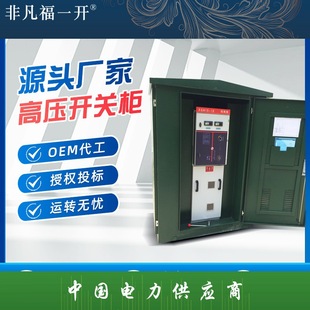 Fuyi High Voltage Switchgear HXGN15-12 Ring Network Cabinet Outdoor 10KV Solid Insulation Cabinet Complete Electrical Equipment