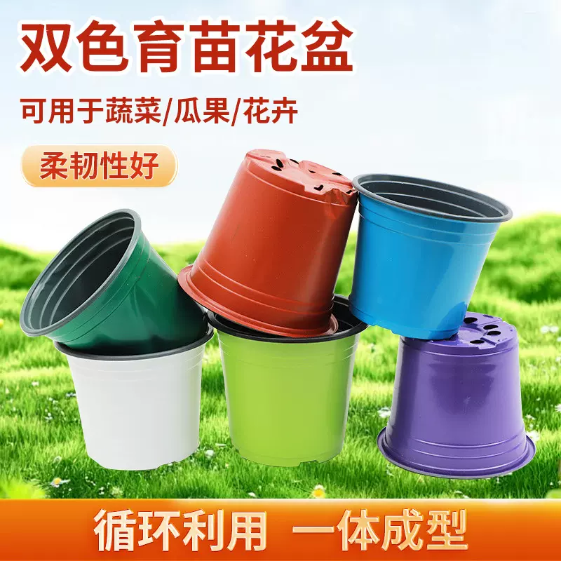 现货批发加厚双色育苗花盆草莓多肉大号花盆塑料营养多色扦插盆