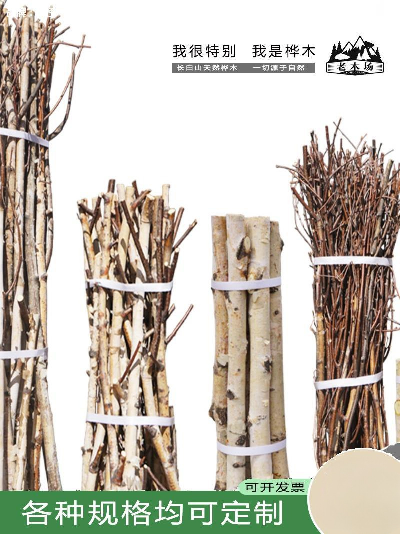 白桦树 树枝树干枝树杈幼儿园diy手工工艺造景装饰栏杆天然小木棍