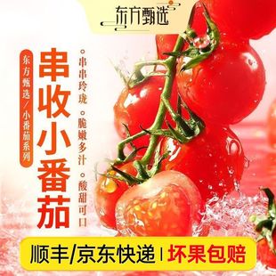 �|�����x����С���� ����ɿڴ��۶�֭�߲�2���b�Ĺ����rSF/JD