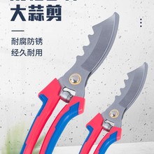 ���ƴ�������� �i���������� �pɫ�ֱ��r�È@ˇ���� ��N����
