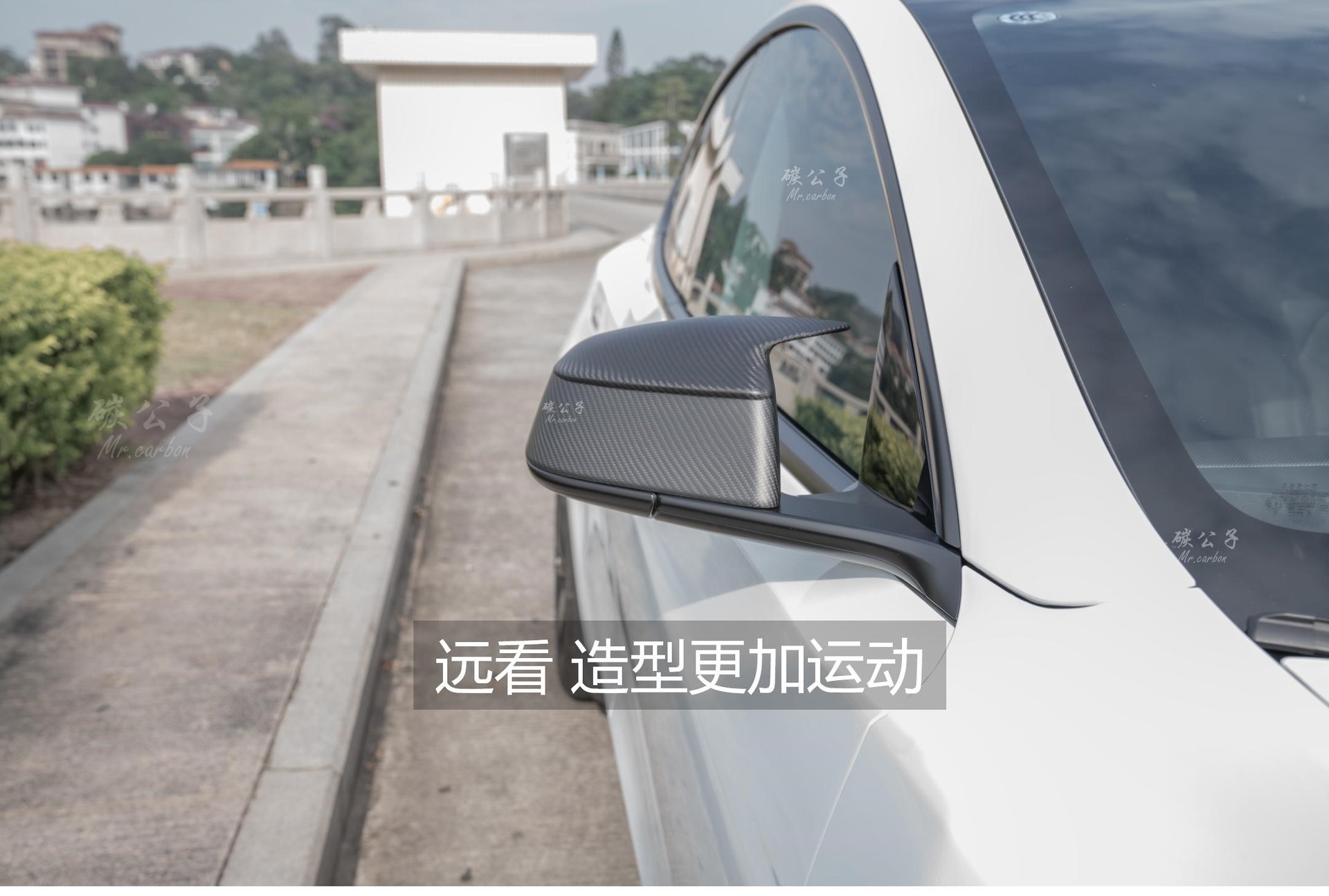  for Tesla's New Version Model 3Ysx Carbon Fiber Rearview Mirror Shell Reversing Horn Tesla