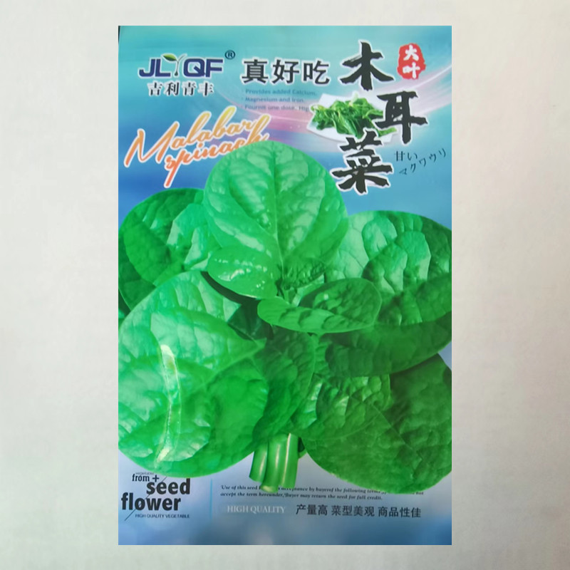 大叶木耳菜种孑菜苗豆腐菜种籽四季爬藤春夏农家阳台盆栽蔬菜种子