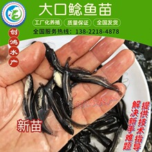 �����硿���|�T�~�� �s������T�� �Ϸ�����T�~��  ȫ�����B