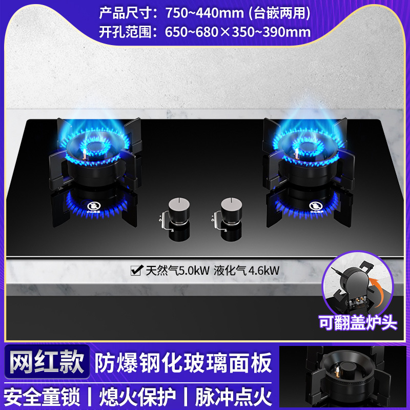 Rong Shida al por mayor doble estufas de gas estufas domésticas de gas natural gas licuado red rojo mágico estufas