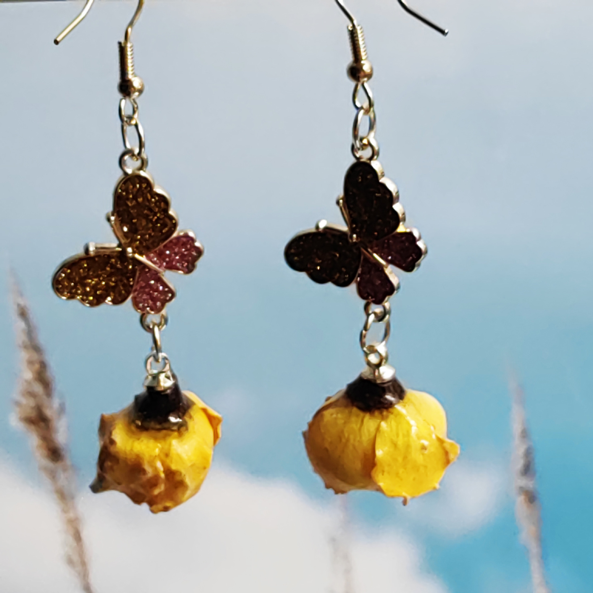 나비 노란 장미