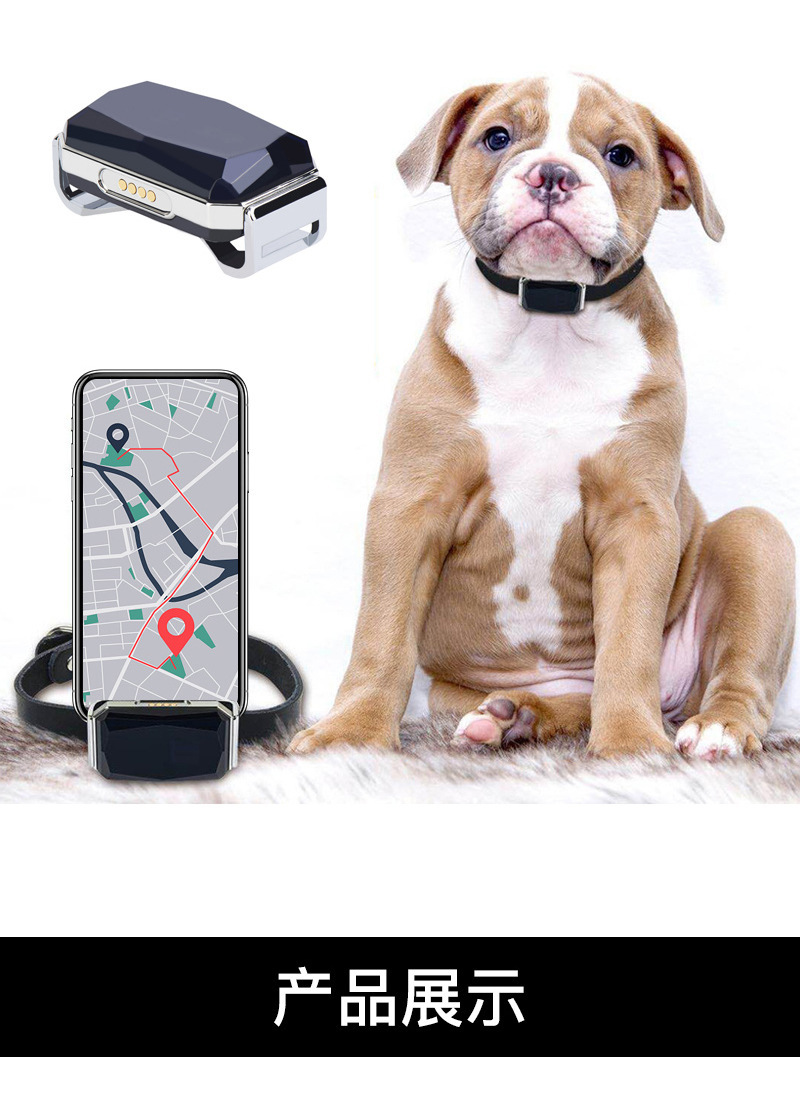 G12 Wearable Waterproof Pet Cat and Dog Gps Locator for the Elderly and Children Anti-Lost Smart Collar Alarm Tracker