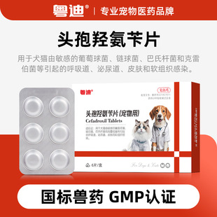 �����^���u����Ƭ؈�乷���������������Ⱦ����Ƥ�wܛ�M����Ⱦ��