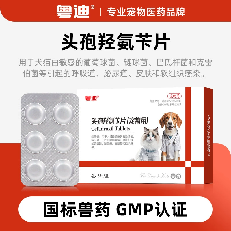 Таблетки Цефадрол для кошек и собак при инфекциях дыхательных путей, мочевыводящих путей и мягких тканях кожи.